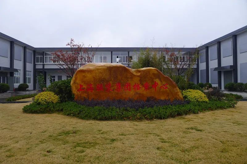 上服集团上海,上服集团