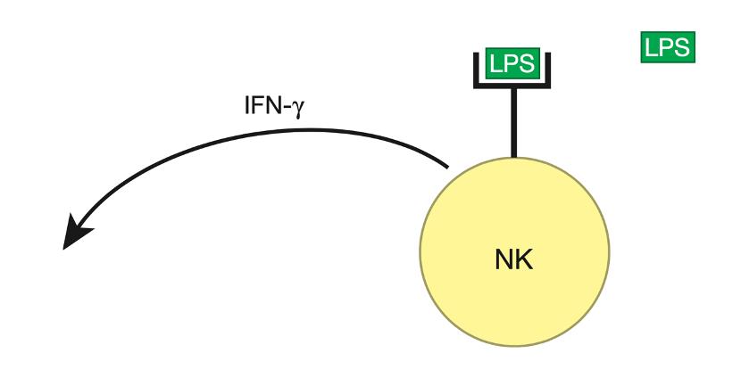 人人学懂免疫学全集,人人学懂免疫学语音版