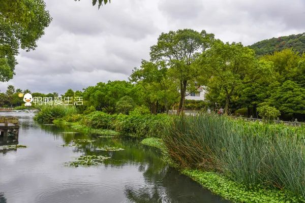 <html>
<head><title>502BadGateway</title></head>
<body>
<center><h1>502BadGateway</h1></center>
<hr><center>nginx</center>
</body>
</html>
<!--apaddingtodisableMSIEandChromefriendlyerrorpage-->
<!--apaddingtodisableMSIEandChromefriendlyerrorpage-->
<!--apaddingtodisableMSIEandChromefriendlyerrorpage-->
<!--apaddingtodisableMSIEandChromefriendlyerrorpage-->
<!--apaddingtodisableMSIEandChromefriendlyerrorpage-->
<!--apaddingtodisableMSIEandChromefriendlyerrorpage-->
