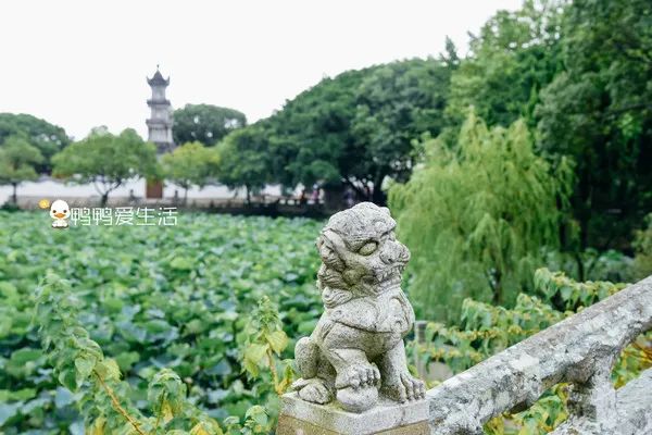 <html>
<head><title>502BadGateway</title></head>
<body>
<center><h1>502BadGateway</h1></center>
<hr><center>nginx</center>
</body>
</html>
<!--apaddingtodisableMSIEandChromefriendlyerrorpage-->
<!--apaddingtodisableMSIEandChromefriendlyerrorpage-->
<!--apaddingtodisableMSIEandChromefriendlyerrorpage-->
<!--apaddingtodisableMSIEandChromefriendlyerrorpage-->
<!--apaddingtodisableMSIEandChromefriendlyerrorpage-->
<!--apaddingtodisableMSIEandChromefriendlyerrorpage-->
