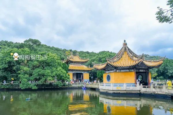 <html>
<head><title>502BadGateway</title></head>
<body>
<center><h1>502BadGateway</h1></center>
<hr><center>nginx</center>
</body>
</html>
<!--apaddingtodisableMSIEandChromefriendlyerrorpage-->
<!--apaddingtodisableMSIEandChromefriendlyerrorpage-->
<!--apaddingtodisableMSIEandChromefriendlyerrorpage-->
<!--apaddingtodisableMSIEandChromefriendlyerrorpage-->
<!--apaddingtodisableMSIEandChromefriendlyerrorpage-->
<!--apaddingtodisableMSIEandChromefriendlyerrorpage-->
