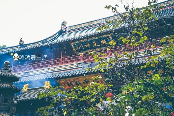 <html>
<head><title>502BadGateway</title></head>
<body>
<center><h1>502BadGateway</h1></center>
<hr><center>nginx</center>
</body>
</html>
<!--apaddingtodisableMSIEandChromefriendlyerrorpage-->
<!--apaddingtodisableMSIEandChromefriendlyerrorpage-->
<!--apaddingtodisableMSIEandChromefriendlyerrorpage-->
<!--apaddingtodisableMSIEandChromefriendlyerrorpage-->
<!--apaddingtodisableMSIEandChromefriendlyerrorpage-->
<!--apaddingtodisableMSIEandChromefriendlyerrorpage-->
