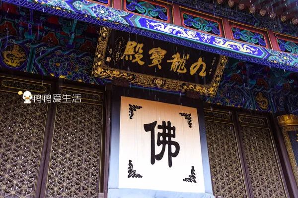 <html>
<head><title>502BadGateway</title></head>
<body>
<center><h1>502BadGateway</h1></center>
<hr><center>nginx</center>
</body>
</html>
<!--apaddingtodisableMSIEandChromefriendlyerrorpage-->
<!--apaddingtodisableMSIEandChromefriendlyerrorpage-->
<!--apaddingtodisableMSIEandChromefriendlyerrorpage-->
<!--apaddingtodisableMSIEandChromefriendlyerrorpage-->
<!--apaddingtodisableMSIEandChromefriendlyerrorpage-->
<!--apaddingtodisableMSIEandChromefriendlyerrorpage-->
