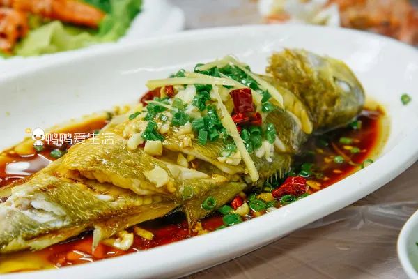 <html>
<head><title>502BadGateway</title></head>
<body>
<center><h1>502BadGateway</h1></center>
<hr><center>nginx</center>
</body>
</html>
<!--apaddingtodisableMSIEandChromefriendlyerrorpage-->
<!--apaddingtodisableMSIEandChromefriendlyerrorpage-->
<!--apaddingtodisableMSIEandChromefriendlyerrorpage-->
<!--apaddingtodisableMSIEandChromefriendlyerrorpage-->
<!--apaddingtodisableMSIEandChromefriendlyerrorpage-->
<!--apaddingtodisableMSIEandChromefriendlyerrorpage-->
