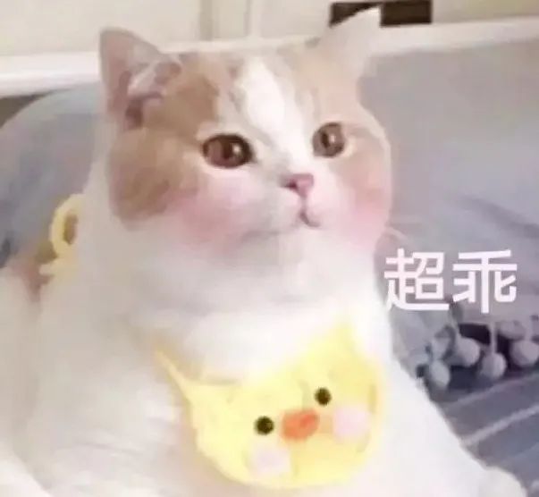 移植胚胎11天相当于怀孕几周,胚胎移植怀孕4-5周有什么感觉