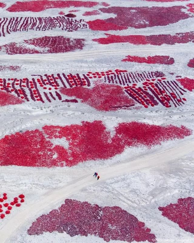 科技爱好者周刊全集,科技爱好者周刊102期