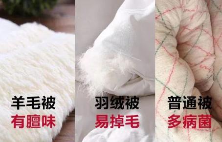 轻松两招带你揭开蚕丝被的真面目,蚕丝被最近新闻