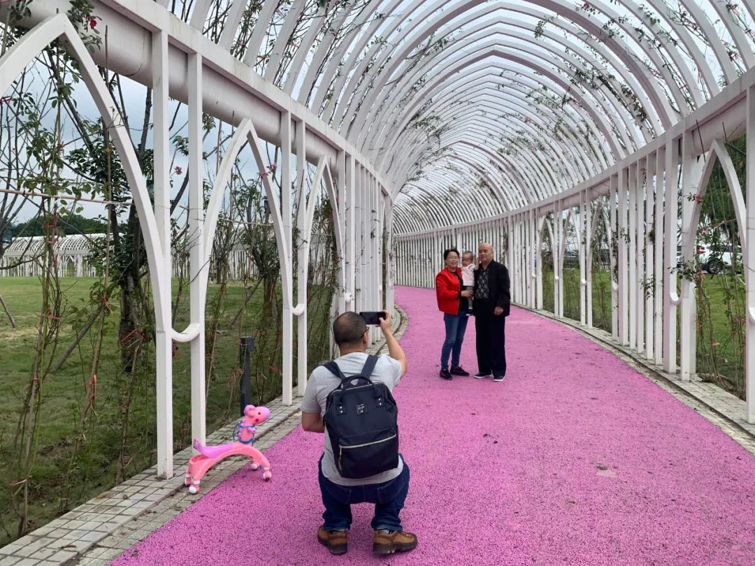 双流运动公园网红,双流运动公园网红打卡地