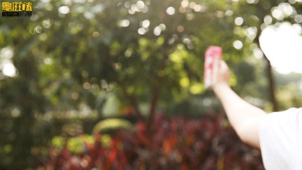 燕塘牛奶用哪里的牛奶,燕塘牛奶为什么突然火了