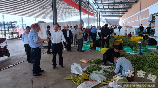 天水电子商务发展的意见,天水电子商务创业