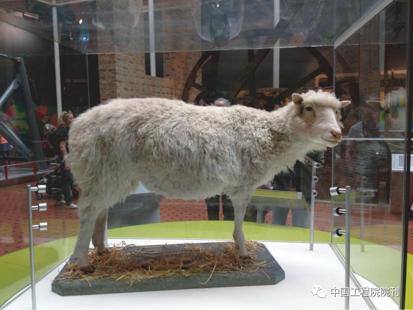 基因编辑婴儿事件伦理分析,未来10年基因编辑技术