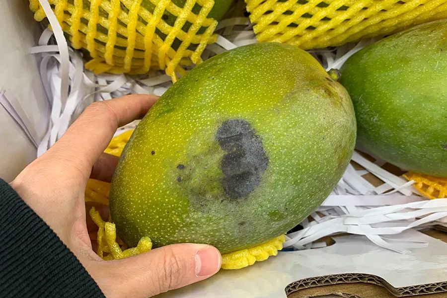 盒马x会员costco,上海盒马x会员店和山姆的区别