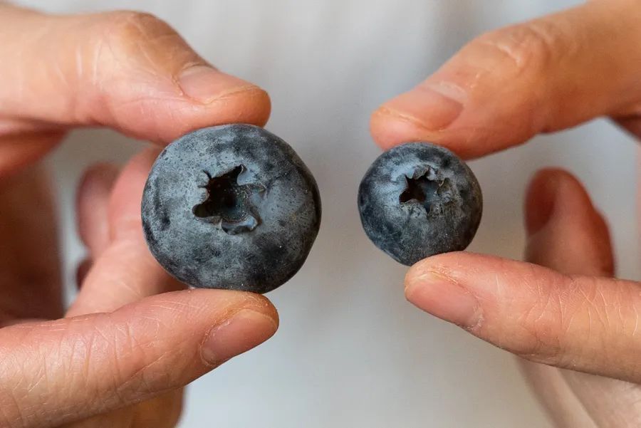 盒马x会员costco,上海盒马x会员店和山姆的区别