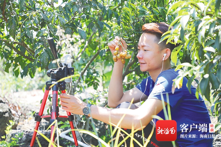 海口市就业扶贫行动,2021海口市秀英区产业