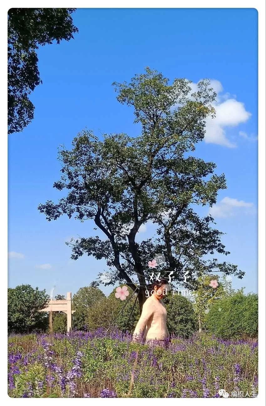 套头衫女秋款棒针编织,韩版落肩袖宽松毛衣编织教程