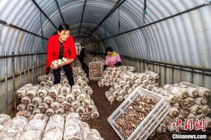 93000000日元等于多少人民币,93000000什么意思