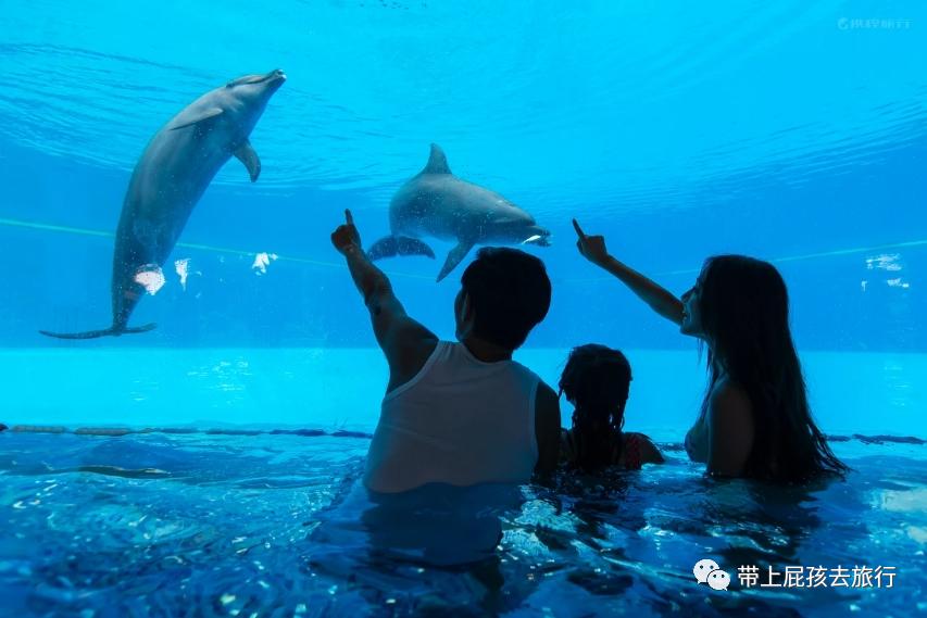 珠海长隆带小孩住哪个酒店比较好,长隆各个酒店区别