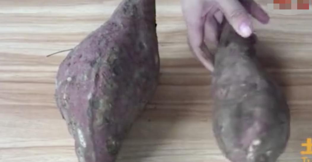 警惕这些食物已引起中毒事件,警惕这些食物有毒严重会危及生命