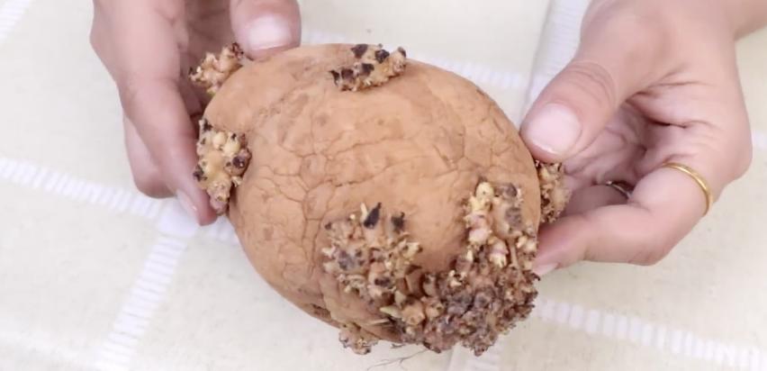 警惕这些食物已引起中毒事件,警惕这些食物有毒严重会危及生命