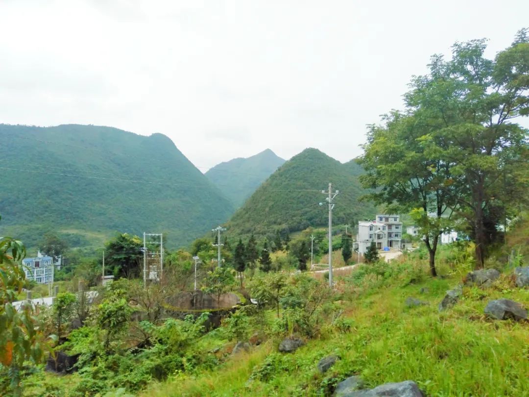 哪个村的脱贫后的变化最明显,脱贫攻坚成功后家乡的变化