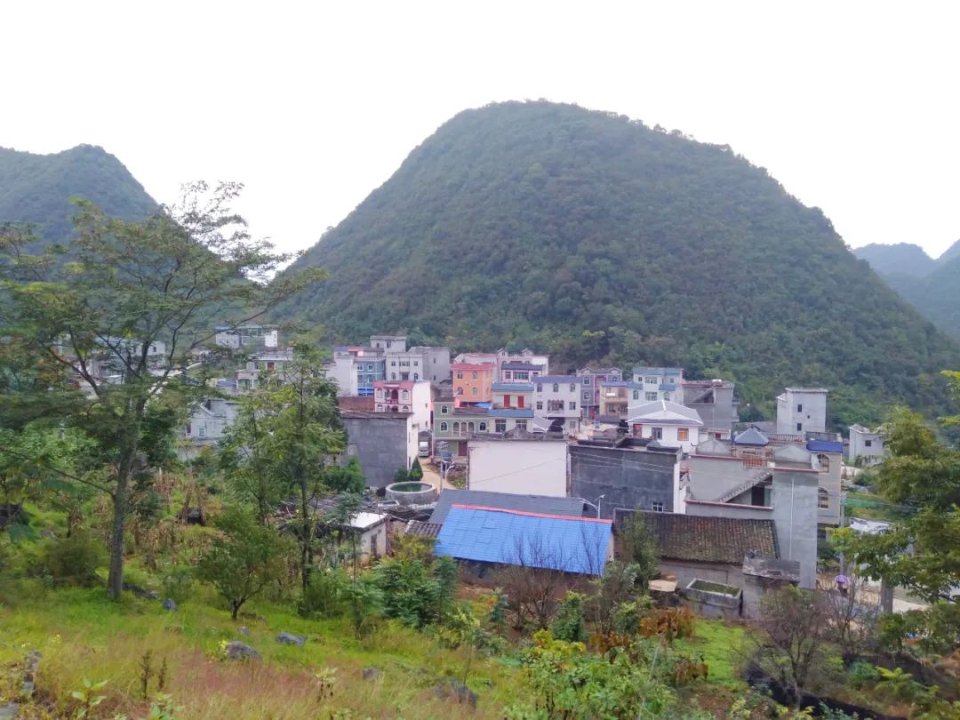 哪个村的脱贫后的变化最明显,脱贫攻坚成功后家乡的变化