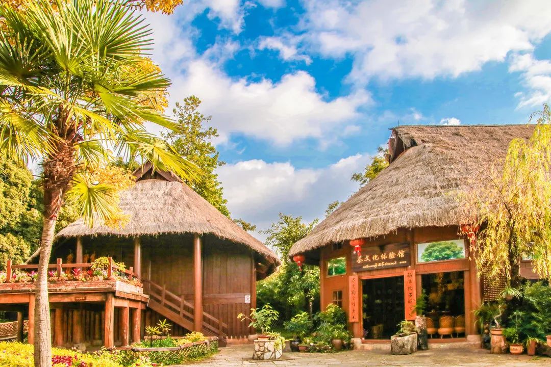 昆明春城秀图片,昆明正宗春城秀