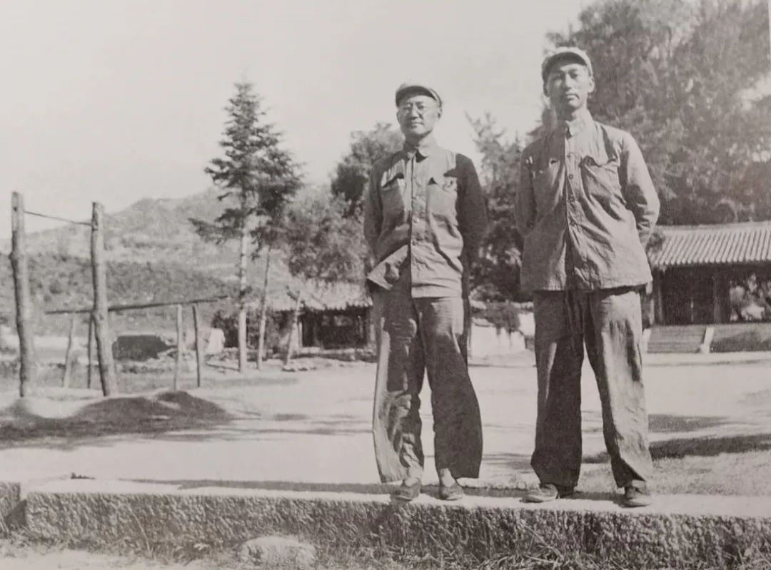 96岁老红军回忆抗战,巴金的抗战岁月