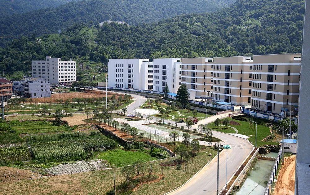 瓯北珠岙村：产业兴旺、日子红火！“温州童装第一村”的幸福小康生活