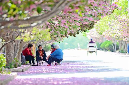 齐心鲁力｜烟台莱阳：生态濯村的幸福蝶变