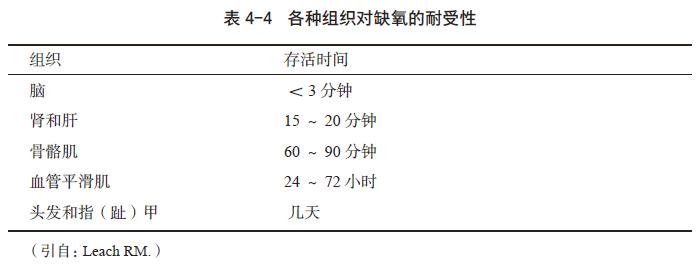 缺氧对器官的影响,缺氧对肾的影响