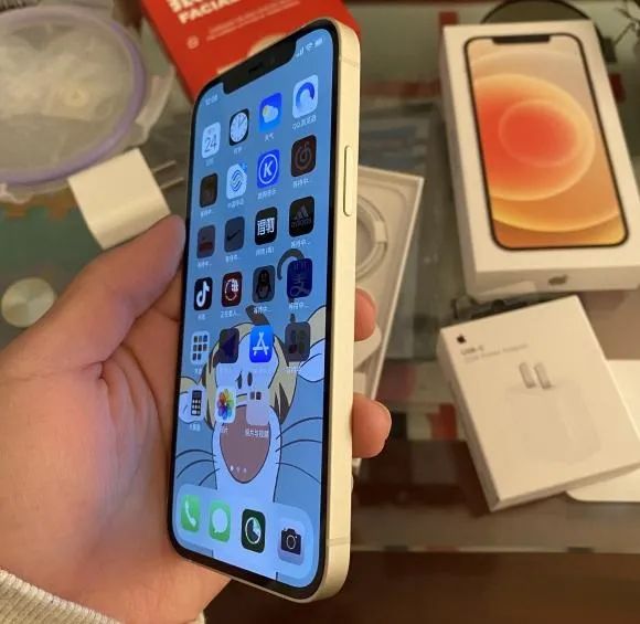 iphone12基带坏了还能修吗,iphone12基带信号问题能解决吗