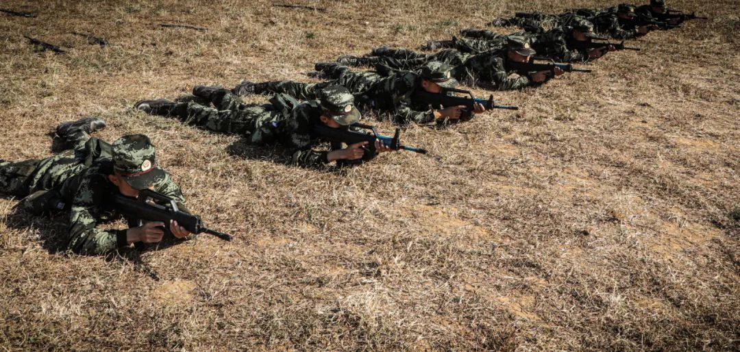 新训进入尾声的视频,新训动作示范