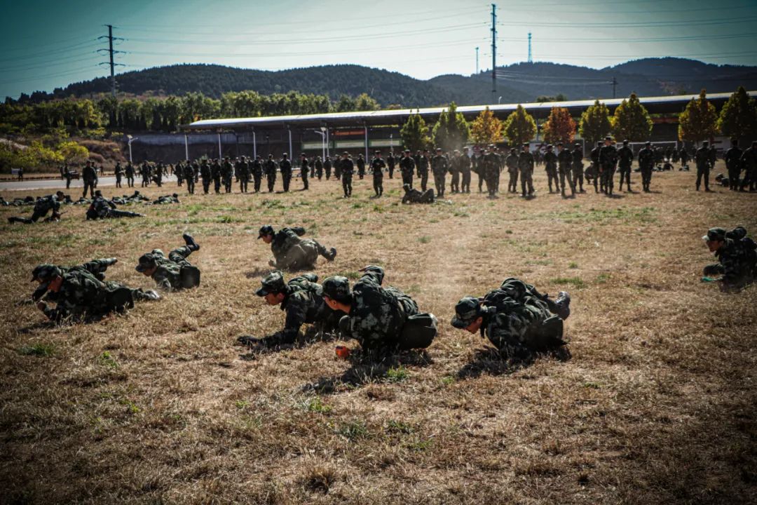 新训进入尾声的视频,新训动作示范