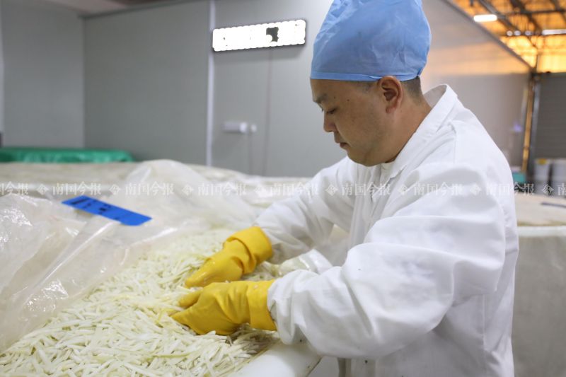 酸笋闻臭师年收入,酸笋闻臭师