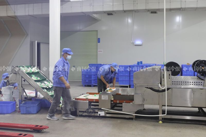 酸笋闻臭师年收入,酸笋闻臭师