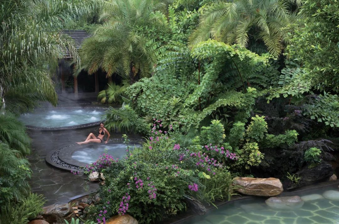 只是好住还不够，现在流行去酒店养生了？