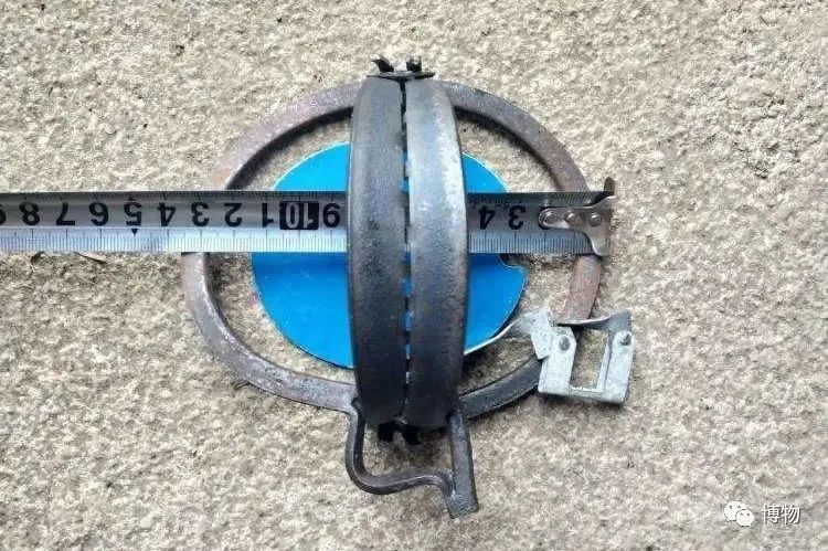 2003年非典是因为果子狸吗,非典与果子狸有关吗