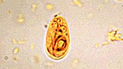 山泉水真的很好吗,真正的山泉水怎么样