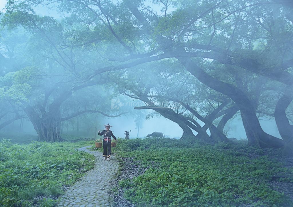 辛弃疾的诗词鉴赏及感悟,辛弃疾诗词大全及其赏析