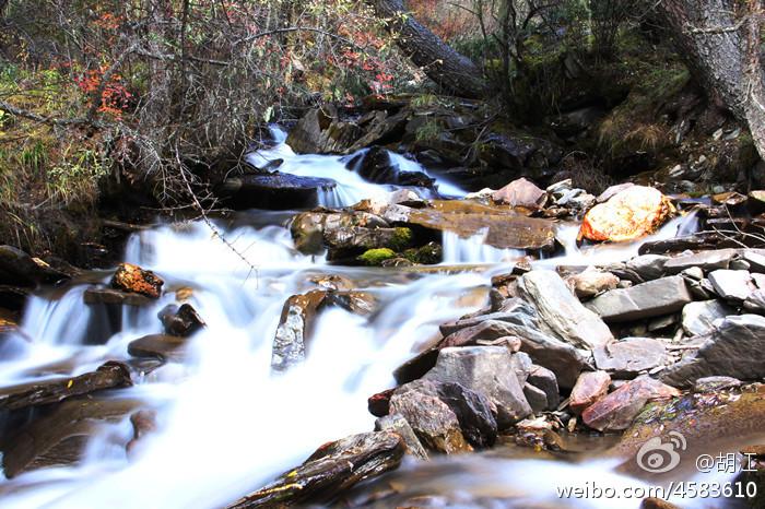 “云上高速”来了！成都5.5小时飙拢青海，沿线一大波“神仙”景点，每站都是大美风光片