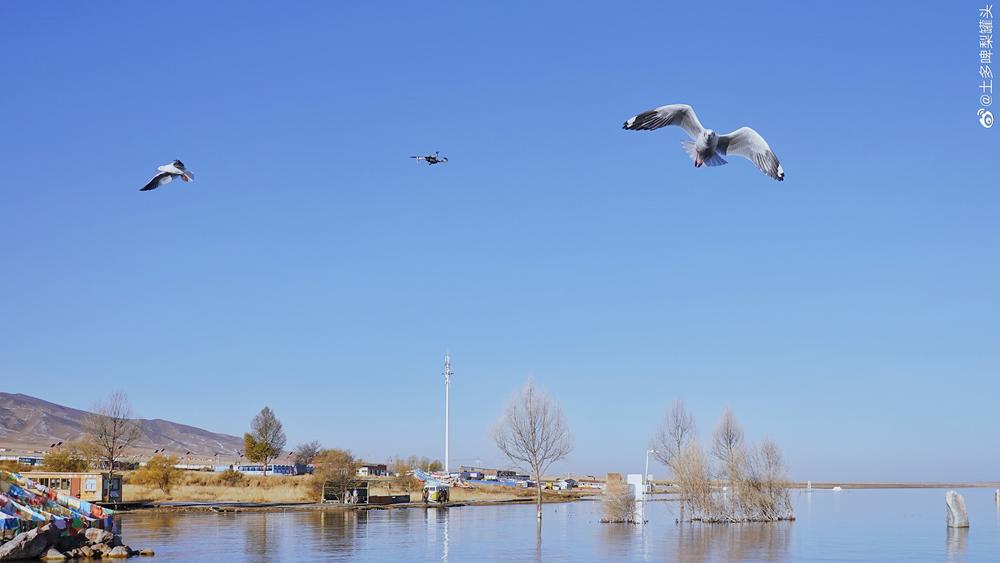 “云上高速”来了！成都5.5小时飙拢青海，沿线一大波“神仙”景点，每站都是大美风光片