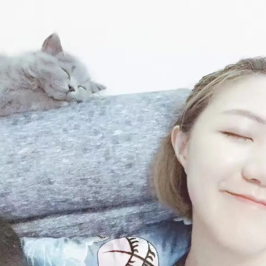 独立音乐人的辛酸,独立音乐人的视频