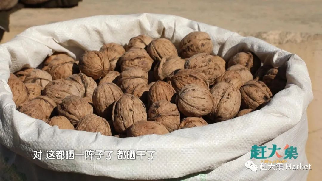 天津都市频道赶大集宁河,天津都市频道赶大集卷凉皮