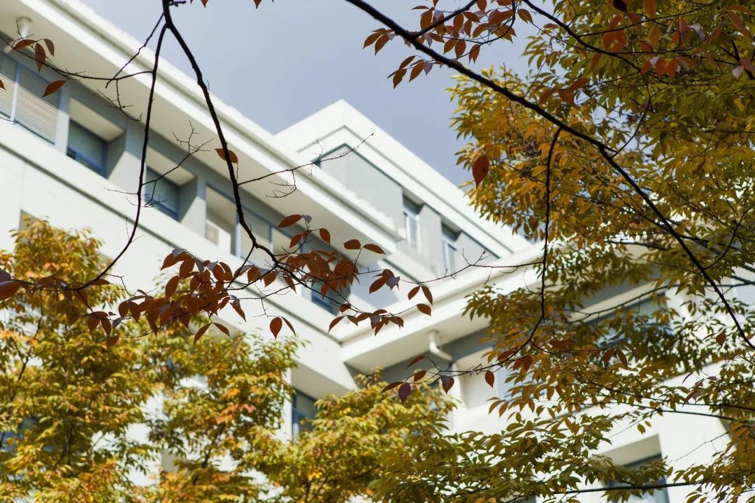 刚刚！东大学子又在这一顶级赛事中创佳绩！