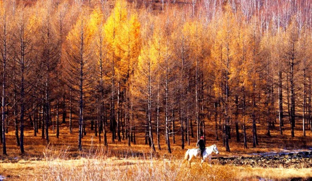 文化和旅游部定点扶贫县,2020省文化和旅游扶贫示范村