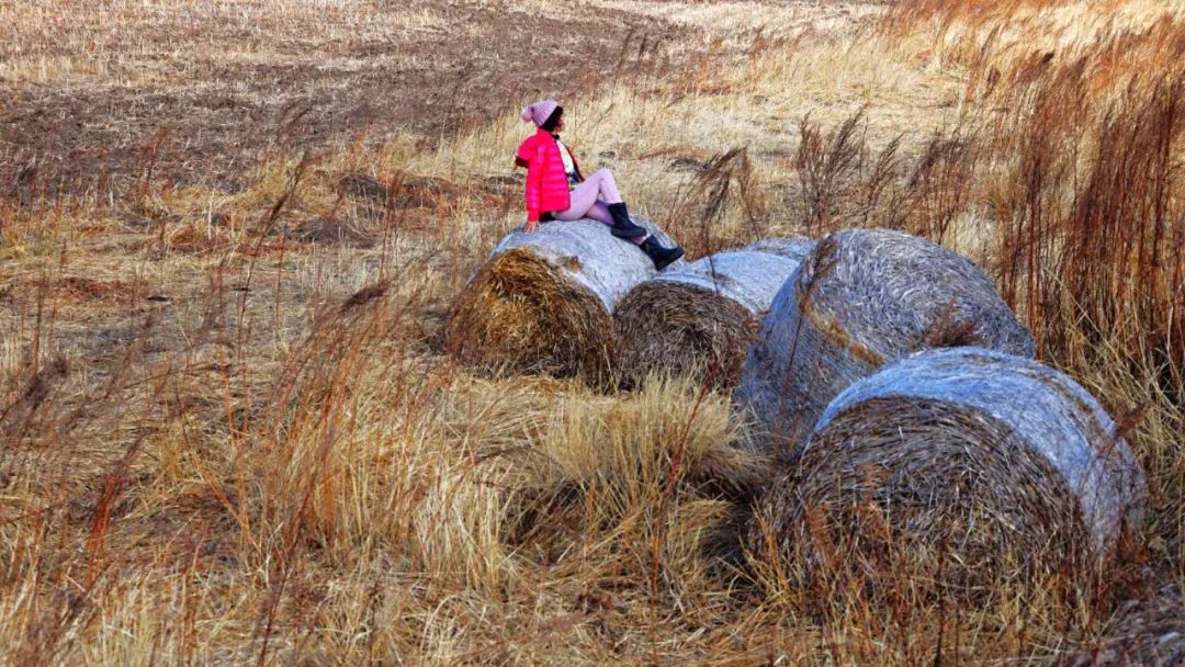 文化和旅游部定点扶贫县,2020省文化和旅游扶贫示范村
