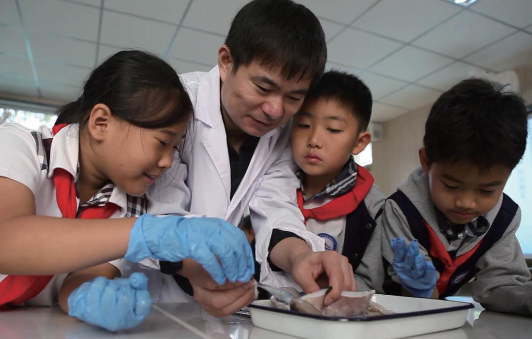 娴锋磱鐢熺墿鎺㈢储娲诲姩,娴锋磱绉戝鎺㈢储娲诲姩