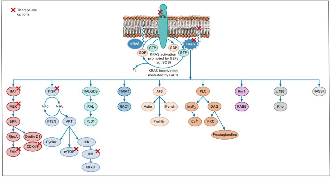 不可救药的药原先指什么,八款kras新药介绍