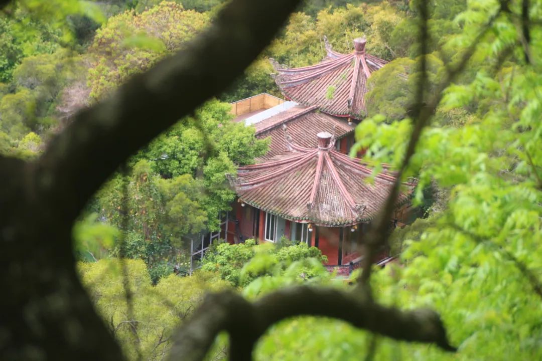 清源山老子传说,泉州老君岩的传说