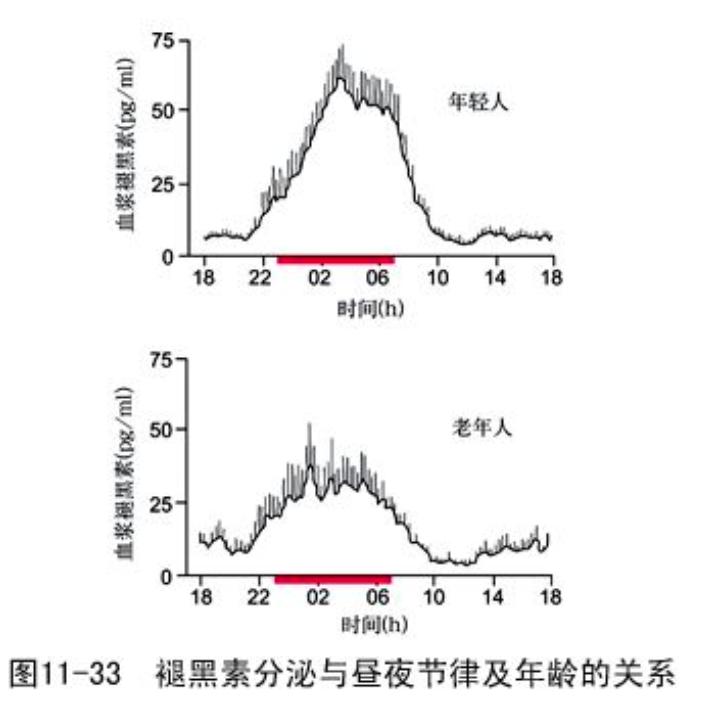 腿粗暗沉粗糙？为什么教程也救不了你的颜值bug？